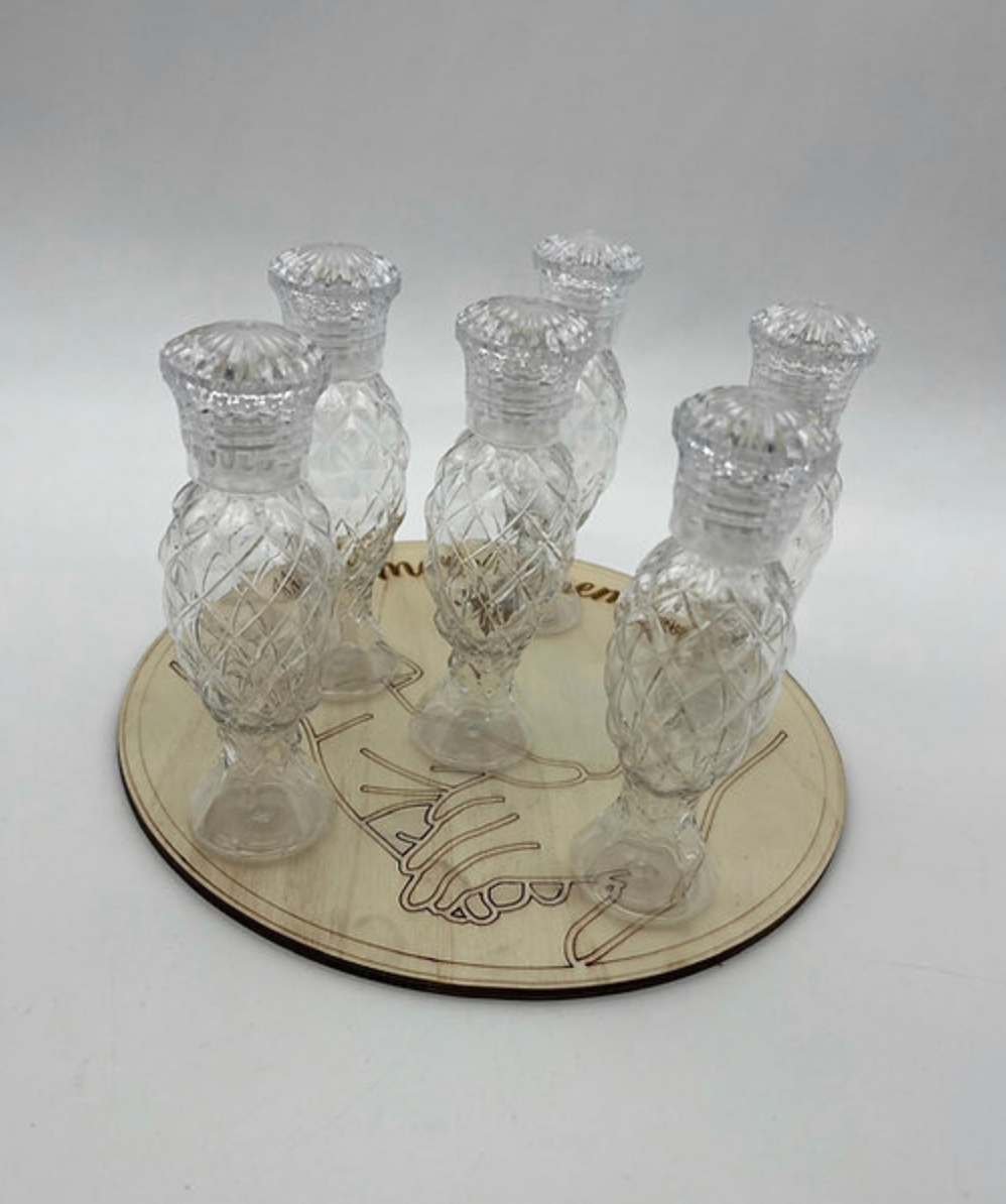 10 Bouteille en plastique à écaille 100ml - bouchon cristal