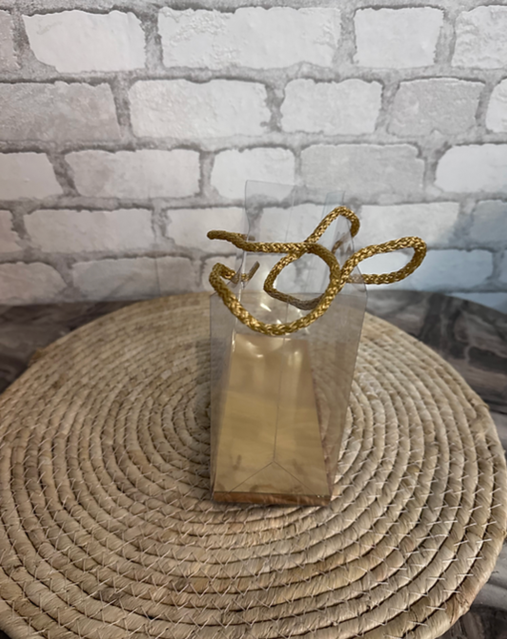 Lot de 10 Sac transparent vide