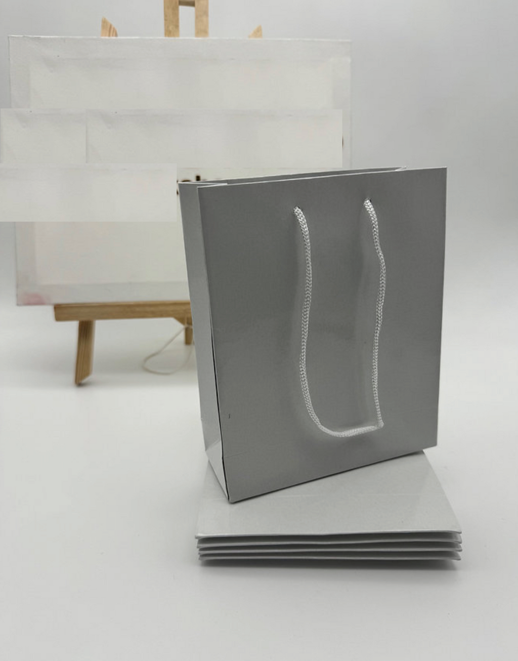 lot de 10 Sac Kraft blanc classique