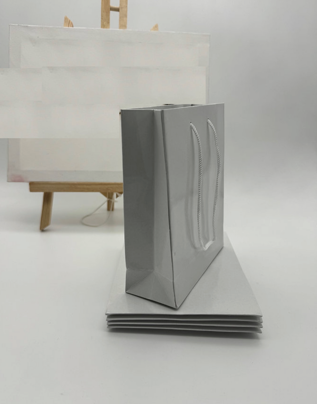 lot de 10 Sac Kraft blanc classique