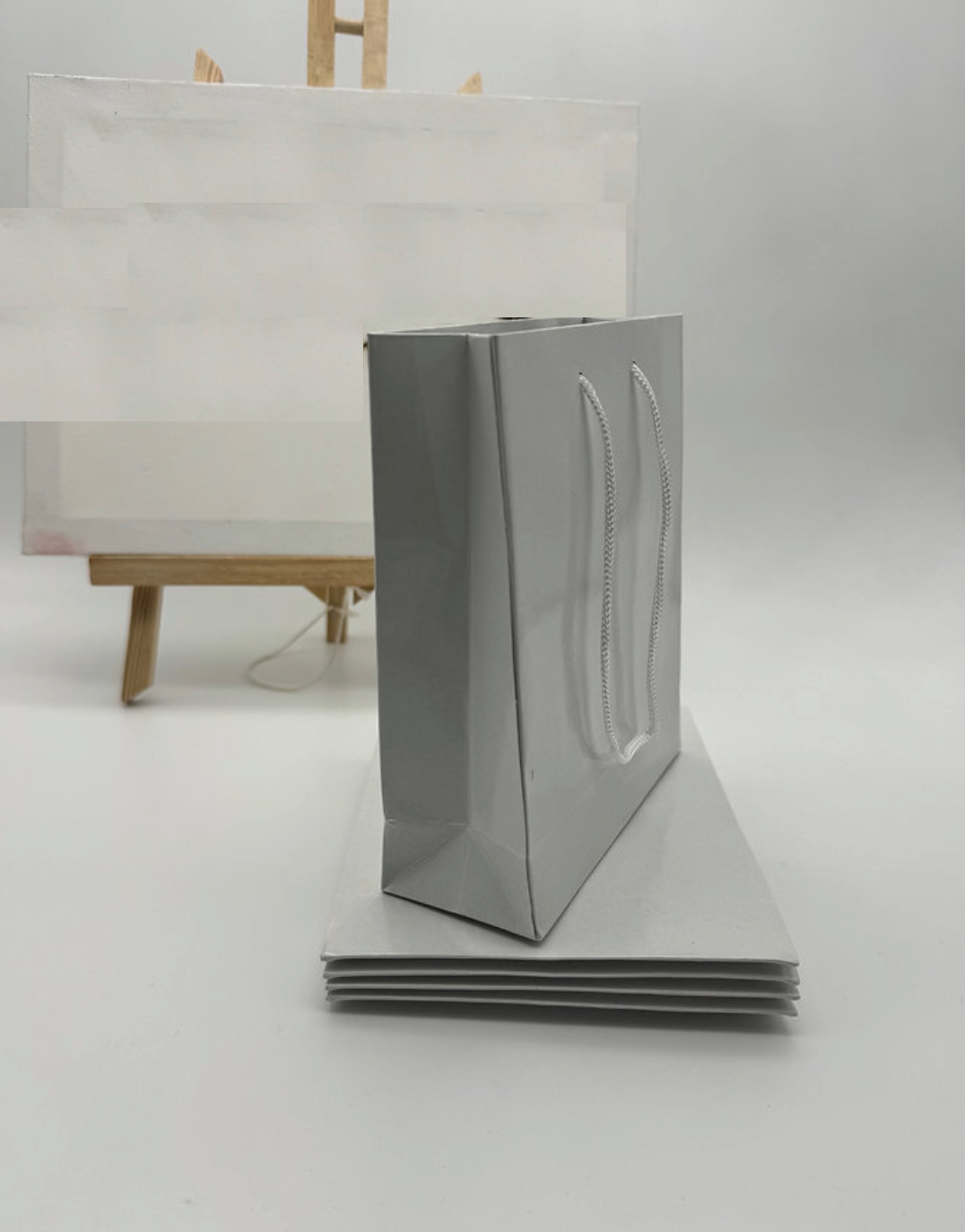 lot de 10 Sac Kraft blanc classique