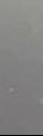 Éventail en Forme de Cœur Personnalisable